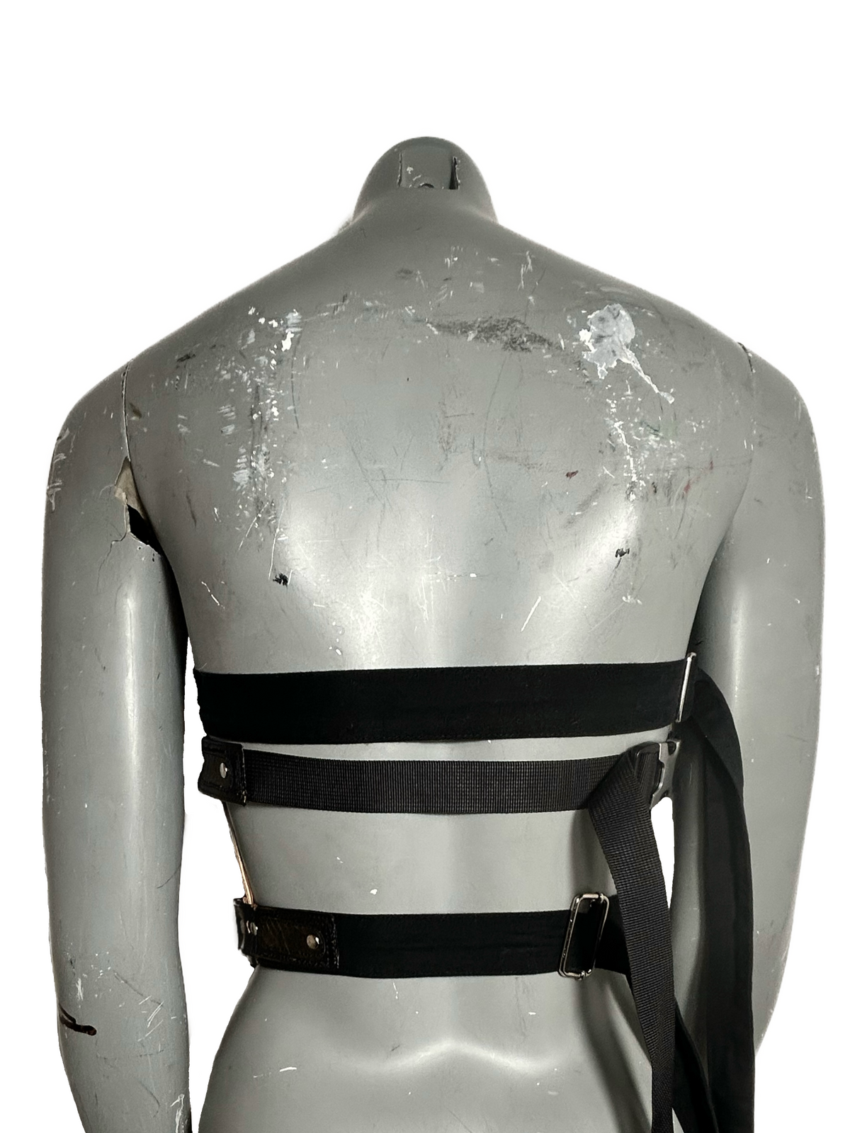 ALLIGATOR COWBOY CORSET